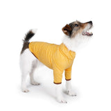Charlie's Backyard Dixie Tee for Dogs (Yellow)