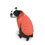 Charlie's Backyard Dixie Tee for Dogs (Orange)