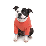 Charlie's Backyard Dixie Tee for Dogs (Orange)