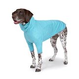 Charlie's Backyard Dixie Tee for Dogs (Mint)