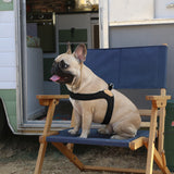 Charlie's Backyard Buckle Up Easy Harness for Dogs (Black)