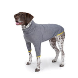 Charlie's Backyard Dixie Tee for Dogs (Grey)