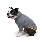 Charlie's Backyard Dixie Tee for Dogs (Grey)