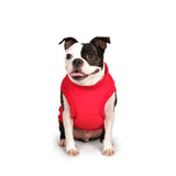 Charlie's Backyard Harness Jacket for Dogs (Red)