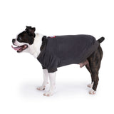Charlie's Backyard Billy Tee (Grey)