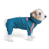 Charlie's Backyard Alpine Bodysuit (Teal Blue)
