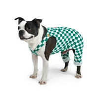Charlie's Backyard Teddy Overalls for Dogs (Green)