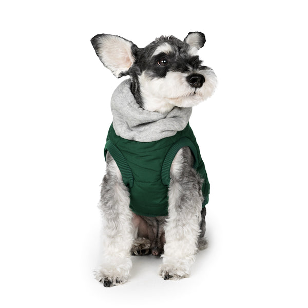 Charlie's Backyard Warm Up Harness Jacket for Dogs (Deep Green)