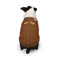 Charlie's Backyard Warm Up Harness Jacket for Dogs (Brown)