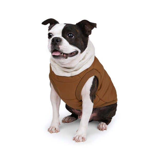 Charlie's Backyard Warm Up Harness Jacket for Dogs (Brown)