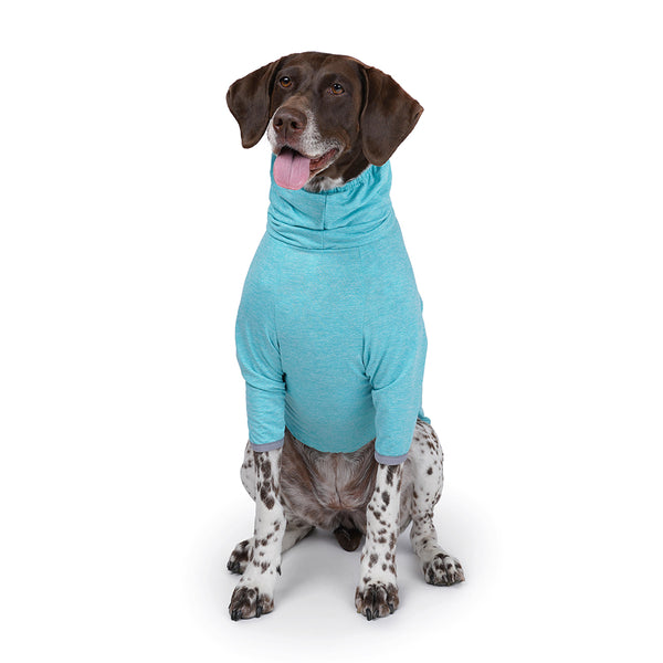 Charlie's Backyard Dixie Tee for Dogs (Mint)