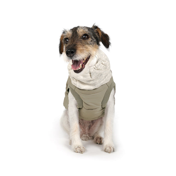 Charlie's Backyard Warm Up Harness Jacket for Dogs (Beige)