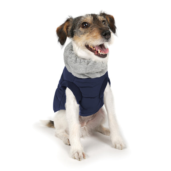 Charlie's Backyard Warm Up Harness Jacket for Dogs (Navy)