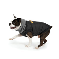 Charlie's Backyard Warm Up Harness Jacket for Dogs (Black)