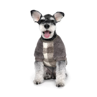 Charlie's Backyard Lany Tee for Dogs (Gray)