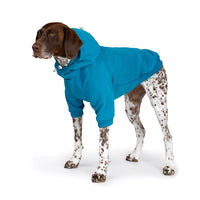Charlie's Backyard Plain Hoodie for Dogs (Teal Blue)