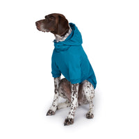 Charlie's Backyard Plain Hoodie for Dogs (Teal Blue)