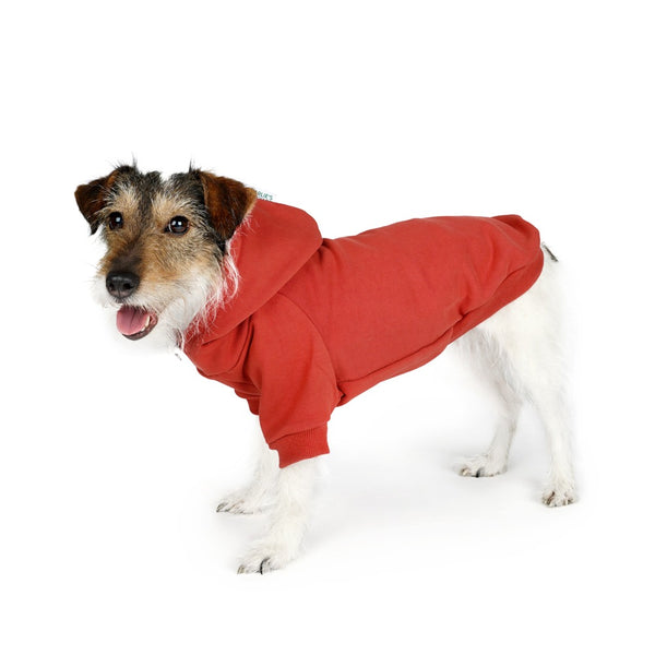 Charlie's Backyard Plain Hoodie for Dogs (Brick Red)