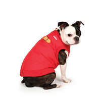 Charlie's Backyard Harness Jacket for Dogs (Red)