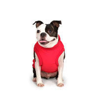 Charlie's Backyard Harness Jacket for Dogs (Red)