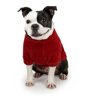 Charlie's Backyard Amber Tee for Dogs (Burgundy)