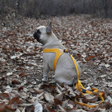 Charlie's Backyard Buckle Up Easy Harness for Dogs (Yellow)