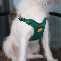 Charlie's Backyard Comfort Harness for Dogs (Green)