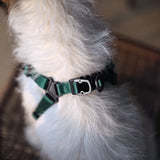 Charlie's Backyard Comfort Harness for Dogs (Green)