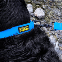 Charlie's Backyard DeWater Collar for Dogs (Blue)