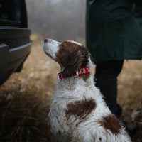 Charlie's Backyard Trip Collar for Dogs (Red)