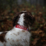 Charlie's Backyard Trip Collar for Dogs (Red)