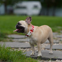 Charlie's Backyard Trip Collar for Dogs (Red)