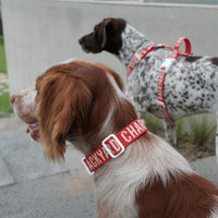 Charlie's Backyard Trip Collar for Dogs (Red)