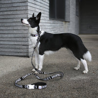 Charlie's Backyard Trip Collar for Dogs (Black)