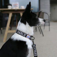 Charlie's Backyard Trip Collar for Dogs (Black)