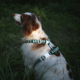 Charlie's Backyard Trip Harness for Dogs (Green)