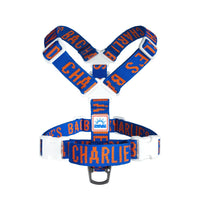 Charlie's Backyard Trip Harness for Dogs (Blue)