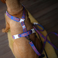 Charlie's Backyard Trip Harness for Dogs (Blue)