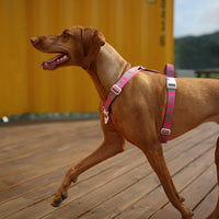 Charlie's Backyard Trip Harness for Dogs (Pink)