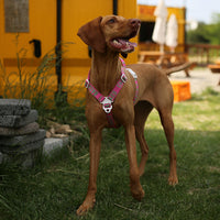 Charlie's Backyard Trip Harness for Dogs (Pink)