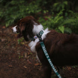 Charlie's Backyard Trip Leash for Dogs