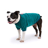 Charlie's Backyard Amber Tee for Dogs (Teal Green)