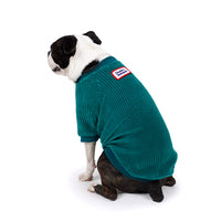 Charlie's Backyard Amber Tee for Dogs (Teal Green)