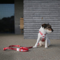 Charlie's Backyard Trip Harness for Dogs (Red)