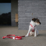 Charlie's Backyard Trip Harness for Dogs (Red)