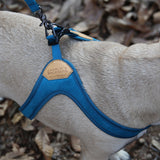 Charlie's Backyard Buckle Up Easy Harness for Dogs (Blue)
