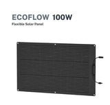 EcoFlow 100W Solar Panel