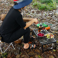 Everest Camp Foldable Steel Mesh Table