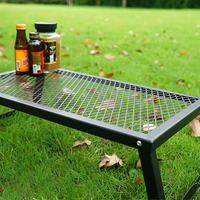 Everest Camp Foldable Steel Mesh Table