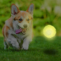 Nerf Dog Tennis Ball Blaster Dog Toy white, 2.5 Inch Glow Reload Ball